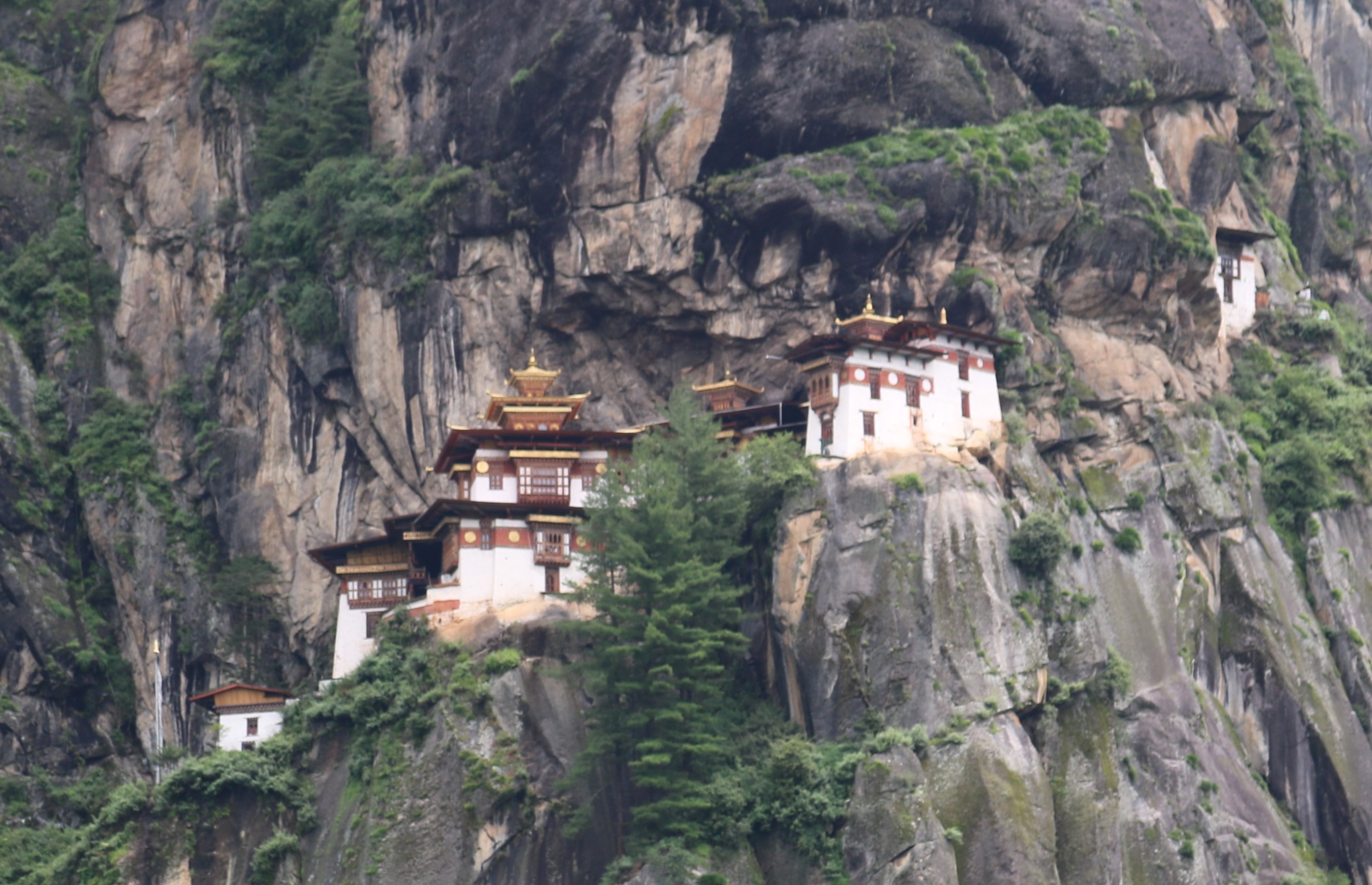 Paro